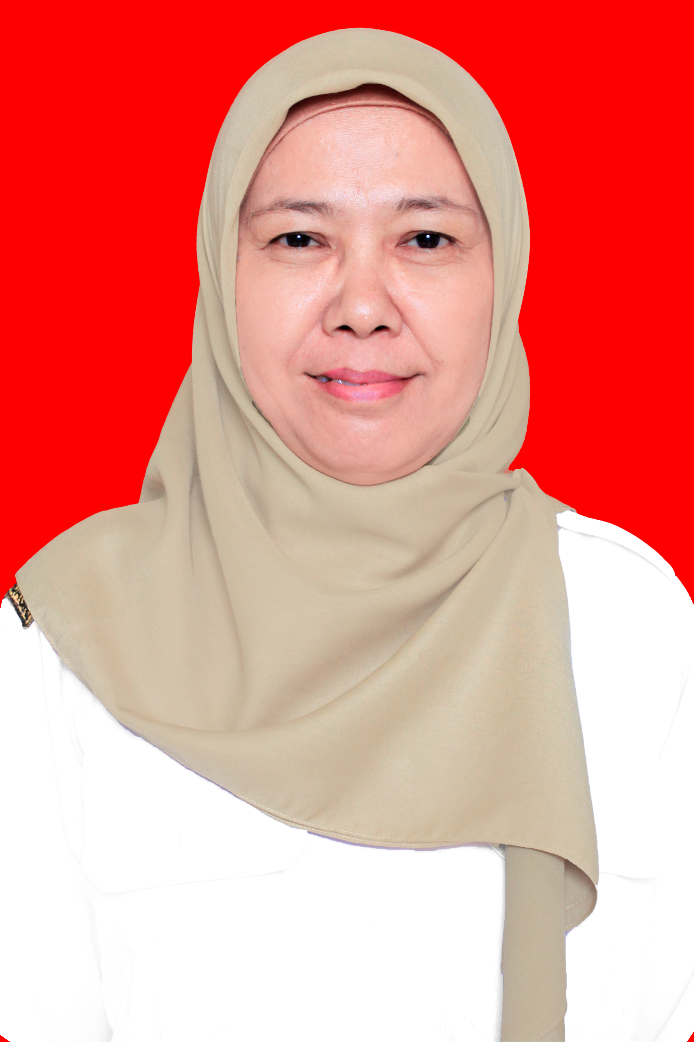 Ayuk Anggraini, S.Pd